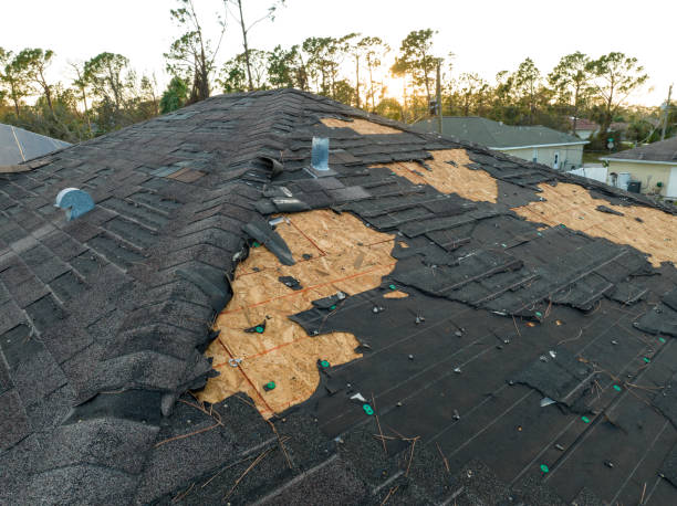 Best Green or Eco-Friendly Roofing Solutions  in Alliae, NC